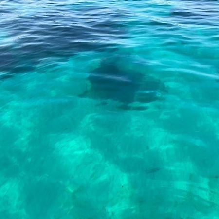 Appartement 23 M2 A Nice, 2E Ligne Du Front De Mer المظهر الخارجي الصورة